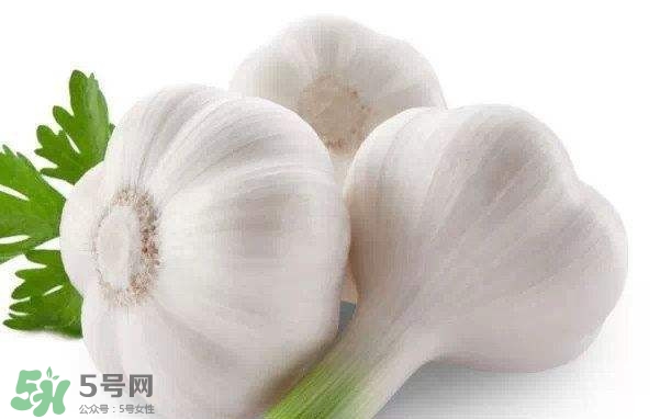 新蒜頭多少錢一斤2017？新蒜頭市場價(jià)格