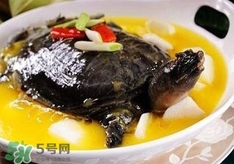 甲魚湯孕婦能喝嗎？甲魚湯孕婦可以喝嗎