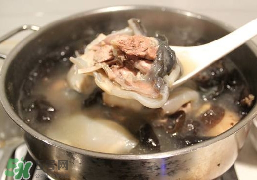 甲魚湯孕婦能喝嗎？甲魚湯孕婦可以喝嗎