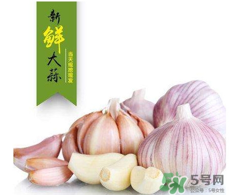 新蒜頭什么時(shí)候上市？新蒜頭幾月份上市