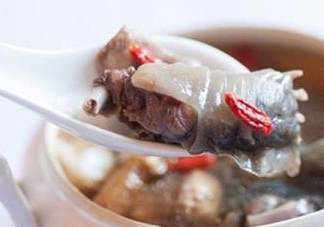 甲魚(yú)湯怎么做？甲魚(yú)湯的做法