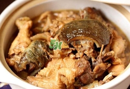 甲魚(yú)怎么做好吃？甲魚(yú)怎樣做最好吃