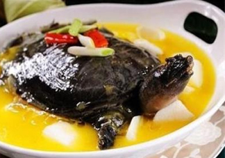 甲魚(yú)不能和什么一起吃？甲魚(yú)不能跟什么食物一起吃