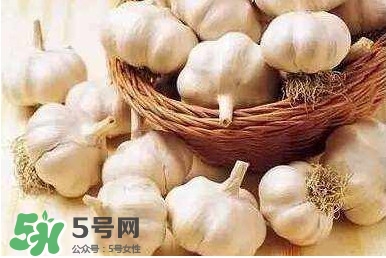 新蒜頭怎么保存不發(fā)芽？新蒜頭怎么存放