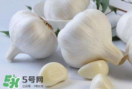 新蒜頭怎么保存不發(fā)芽？新蒜頭怎么存放