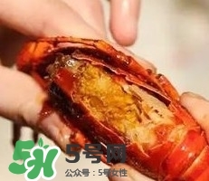 蝦黃孕婦能吃嗎？蝦黃在哪個位置圖解