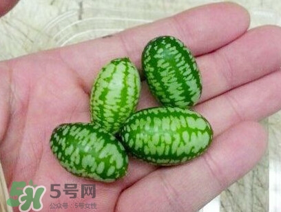 迷你西瓜能生吃嗎？迷你西瓜怎么吃