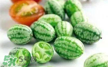 迷你西瓜能生吃嗎？迷你西瓜怎么吃