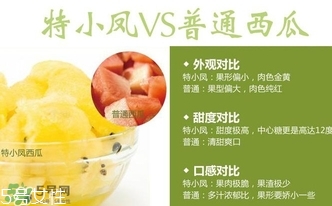 特小鳳西瓜孕婦能吃嗎？特小鳳西瓜孕婦可以吃嗎