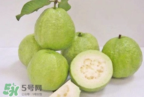 番石榴什么時候成熟？番石榴什么時候上市
