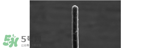 熊野巨匠小熊筆怎么用？熊野巨匠小熊去黑頭筆使用方法