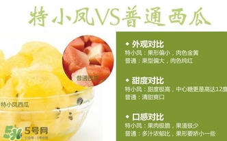 特小鳳西瓜多少錢(qián)一斤2017？特小鳳西瓜價(jià)格