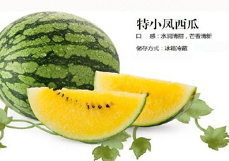 特小鳳西瓜是轉(zhuǎn)基因嗎？特小鳳西瓜是不是轉(zhuǎn)基因