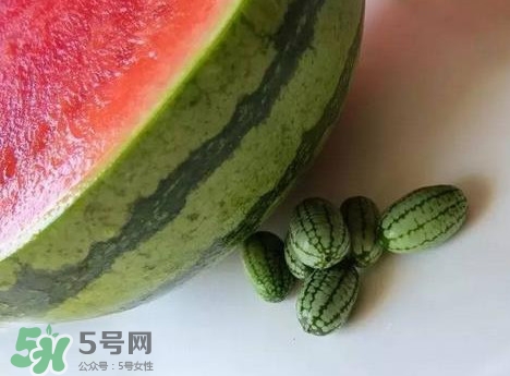 世界上最小的西瓜  迷你西瓜多少錢一個(gè)？