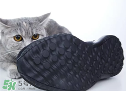 adidas alphabounce上腳怎么樣？阿迪達斯阿爾法小椰子測評