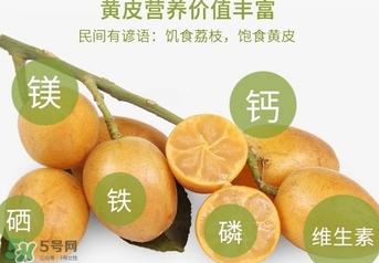 如何種植黃皮果？黃皮果怎么種植？