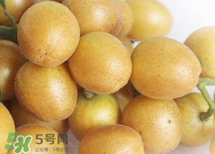 雞心黃皮幾年才掛果？雞心黃皮如何種植管理
