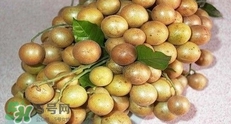 怎么腌制黃皮果？黃皮果的腌制方法