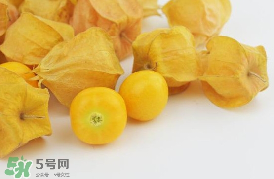 姑娘果是寒性嗎？姑娘果是涼性還是熱性？