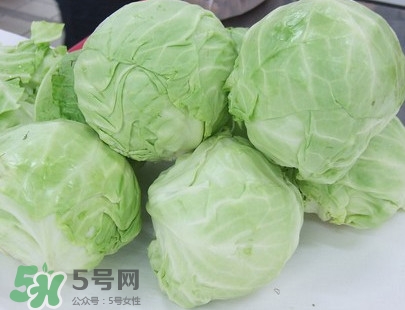 圓白菜怎么做好吃？圓白菜有什么功效