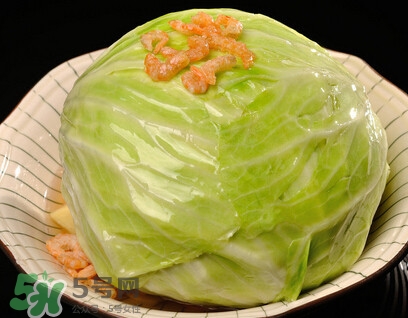 圓白菜是包菜嗎？圓白菜是大頭菜嗎？