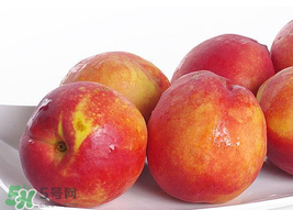 吃油桃會拉肚子嗎？拉肚子可以吃油桃嗎？