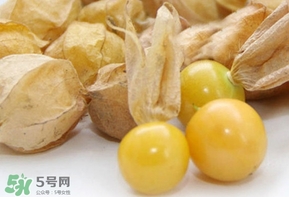 姑娘果什么時候成熟？姑娘果什么時候上市