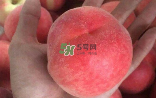 紅不軟桃?guī)自路莩墒?？紅不軟桃什么時(shí)候成熟