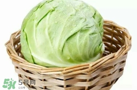 圓白菜是包菜嗎？圓白菜是大頭菜嗎？