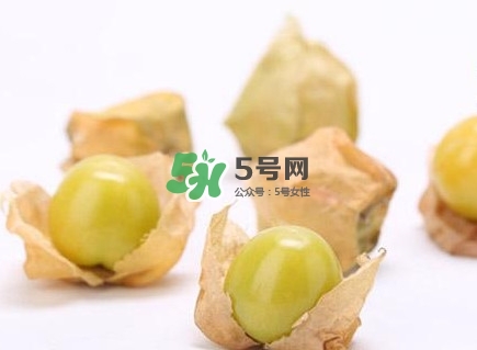 姑娘果是什么果？姑娘果怎么吃