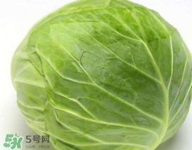 圓白菜是什么菜？圓白菜能生吃嗎？