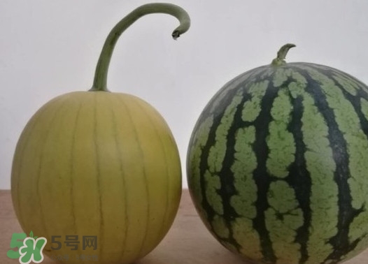 四色瓤西瓜是轉(zhuǎn)基因嗎？四色瓤西瓜是不是轉(zhuǎn)基因？