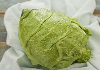 圓白菜是包菜嗎？圓白菜是大頭菜嗎？