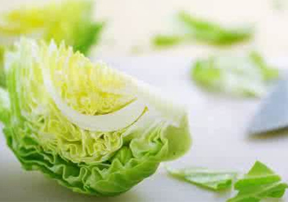 圓白菜怎么做好吃？圓白菜有什么功效
