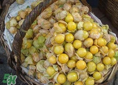 花姑娘水果怎么吃？花姑娘水果吃之前要洗嗎？