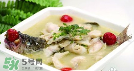 哺乳期能吃鱸魚嗎？哺乳期可以吃鱸魚嗎