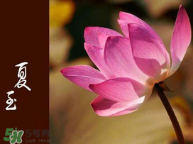 2017年夏至?xí)掠陠?？夏至下雨有什么說(shuō)法？