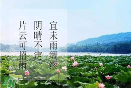 夏至是入伏嗎？夏至后多久入伏？
