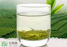 如何鑒別信陽毛尖好壞？信陽毛尖品鑒十步法