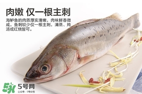 鱸魚是海鮮嗎？鱸魚是不是海鮮？
