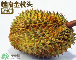 紅心榴蓮多少錢一斤？紅心榴蓮為什么這么貴？