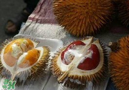 紅心榴蓮多少錢一斤？紅心榴蓮為什么這么貴？