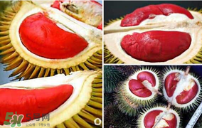 紅心榴蓮叫什么？紅心榴蓮是哪個(gè)國(guó)家產(chǎn)的？