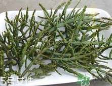 螃蟹腳茶多少錢一斤2017？螃蟹腳茶的價格