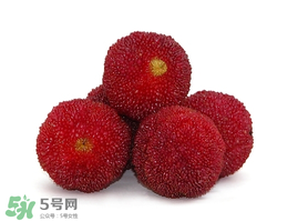 吃完楊梅不能吃什么？吃完楊梅可以吃別的水果嗎？