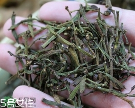 螃蟹腳茶哪些人不能喝？螃蟹腳茶哪些人能喝