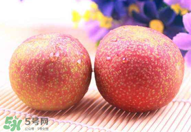 紅心李子孕婦可以吃嗎？紅心李子營養(yǎng)價值
