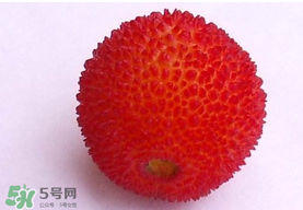 楊梅籽可以吃嗎？吃楊梅籽有什么好處？