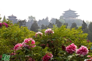 7月份去北京穿什么？七月份去北京穿衣搭配