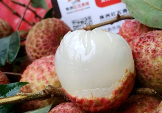 白糖罌荔枝怎樣保果的？白糖罌荔枝和白蠟的區(qū)別